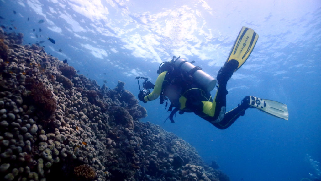 Kat Ramage underwater taking picture at Coral Bommie Pemuteran Bali Indonesia