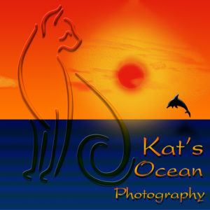 Kat's Ocean Logo